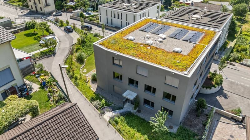 Residenza Alla Rocca - App. 1 Piano terra - 3.5 locali (13)
