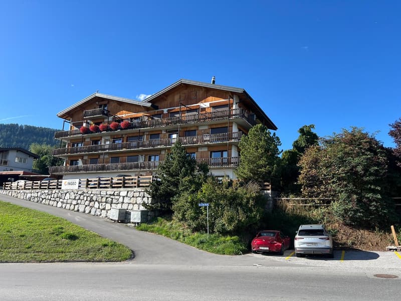 Charmant appartement de 2.5 pièces à Haute-Nendaz (11)