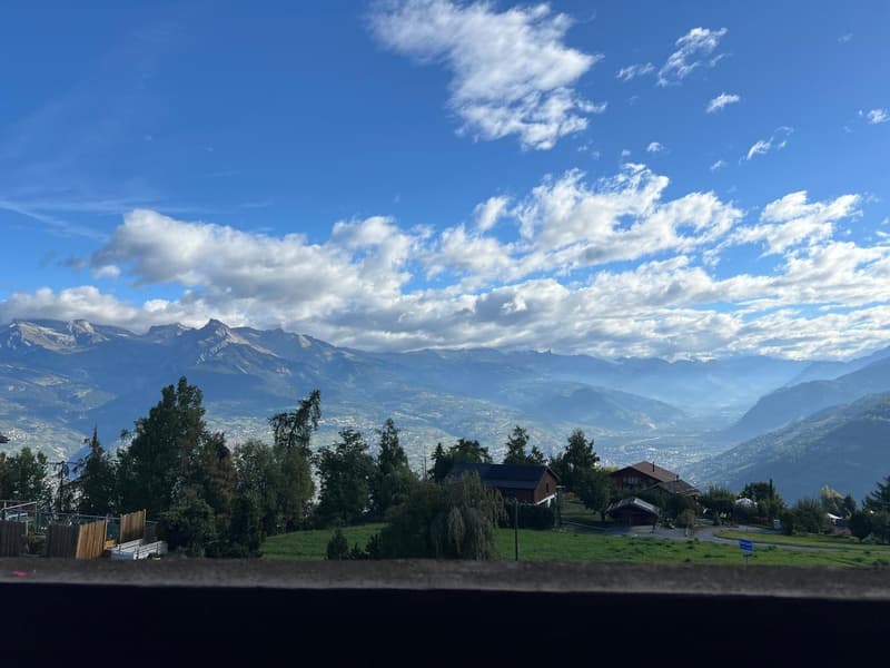 Charmant appartement de 2.5 pièces à Haute-Nendaz (2)