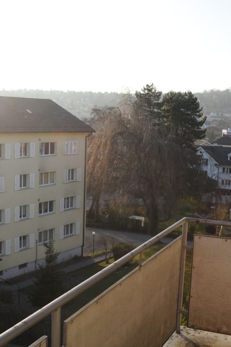 4 Bedroom Apartment Rorschachacherstr. 189b 9000 St. Gallen-Krontal (7)