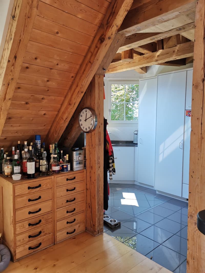 Appartamento di 3,5 locali con galleria (6)