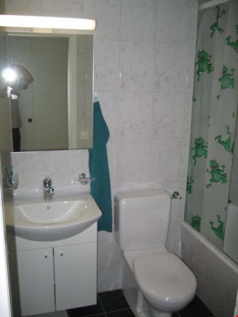Appartamento mansardato originale di 2,5 locali (9)