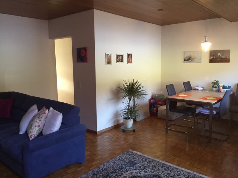 Appartamento mansardato originale di 2,5 locali (7)