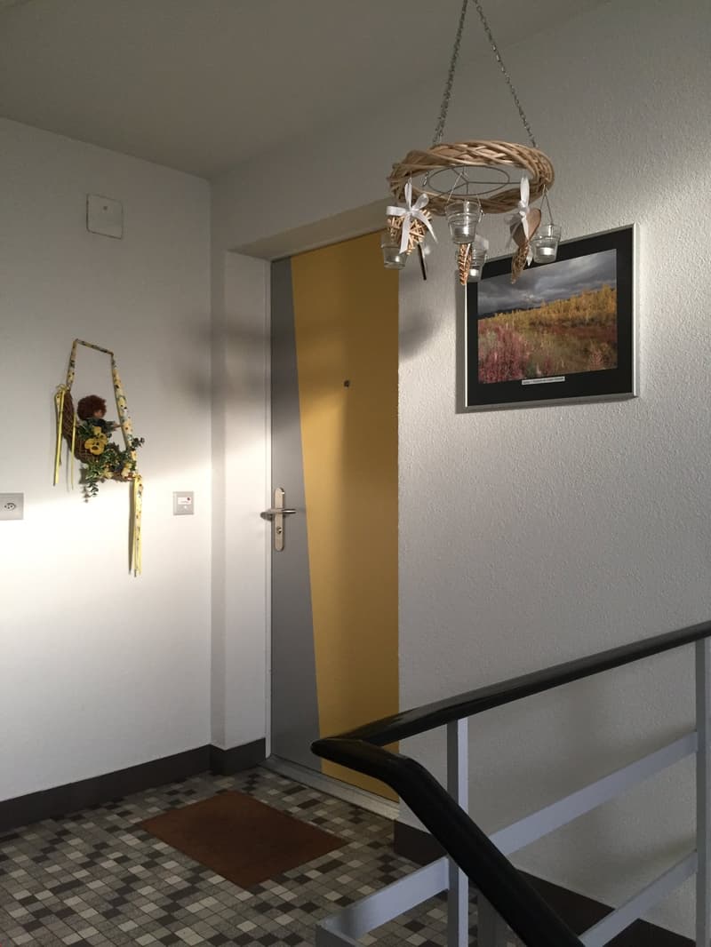 Appartamento mansardato originale di 2,5 locali (3)