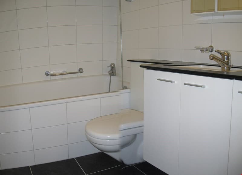 Bad/WC viele Einbauschränke