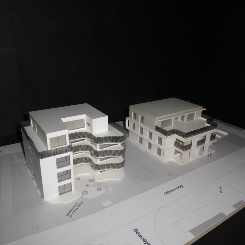 3.5 Zimmer - Wohnung  Attika (5)