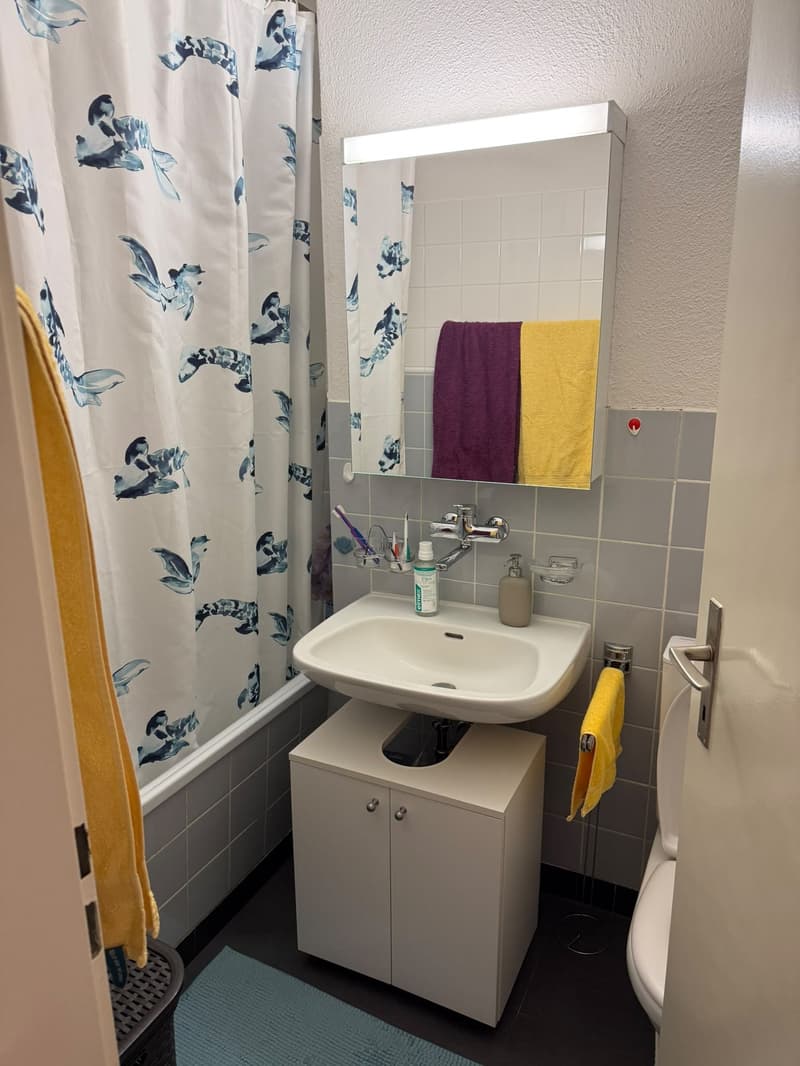 3.5 Zimmerwohnung im 1. OG am Furtbach per 15.12.2026 (8)