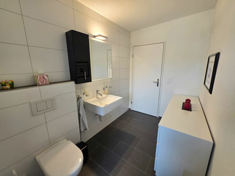 Stilvolle Attika Wohnung (11)