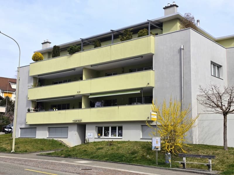 Stilvolle Attika Wohnung (16)