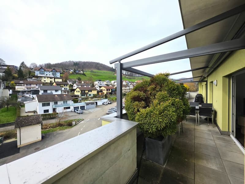 Stilvolle Attika Wohnung (4)
