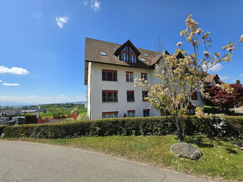 Attic apartment with wonderful views, in a quiet, child-friendly location! (19)