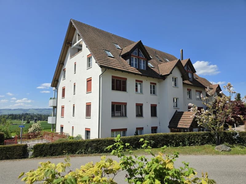 Attic apartment with wonderful views, in a quiet, child-friendly location! (21)