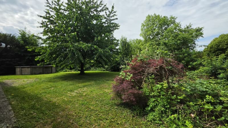 Grosszügigies Einfamilienhaus mit grossem Garten und Weitblick (19)