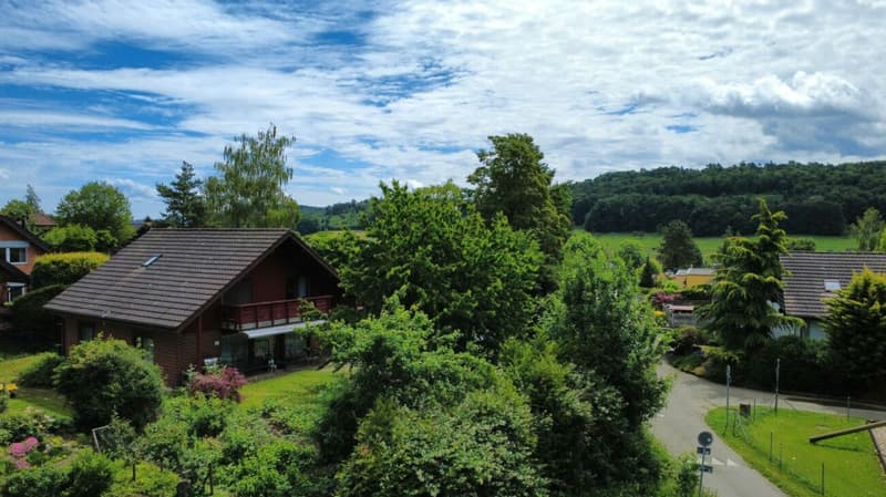 Grosszügigies Einfamilienhaus mit grossem Garten und Weitblick (22)
