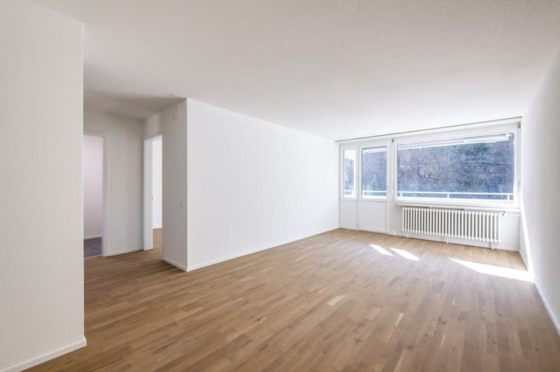 empty room, wooden floor, white walls, large windows, white radiator