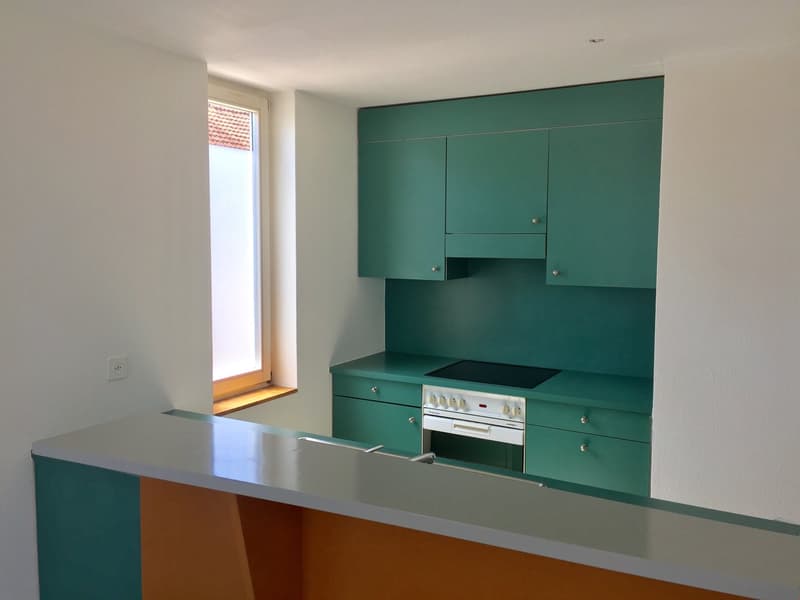 Bello appartamento di 2 camere con area di soggiorno (2)