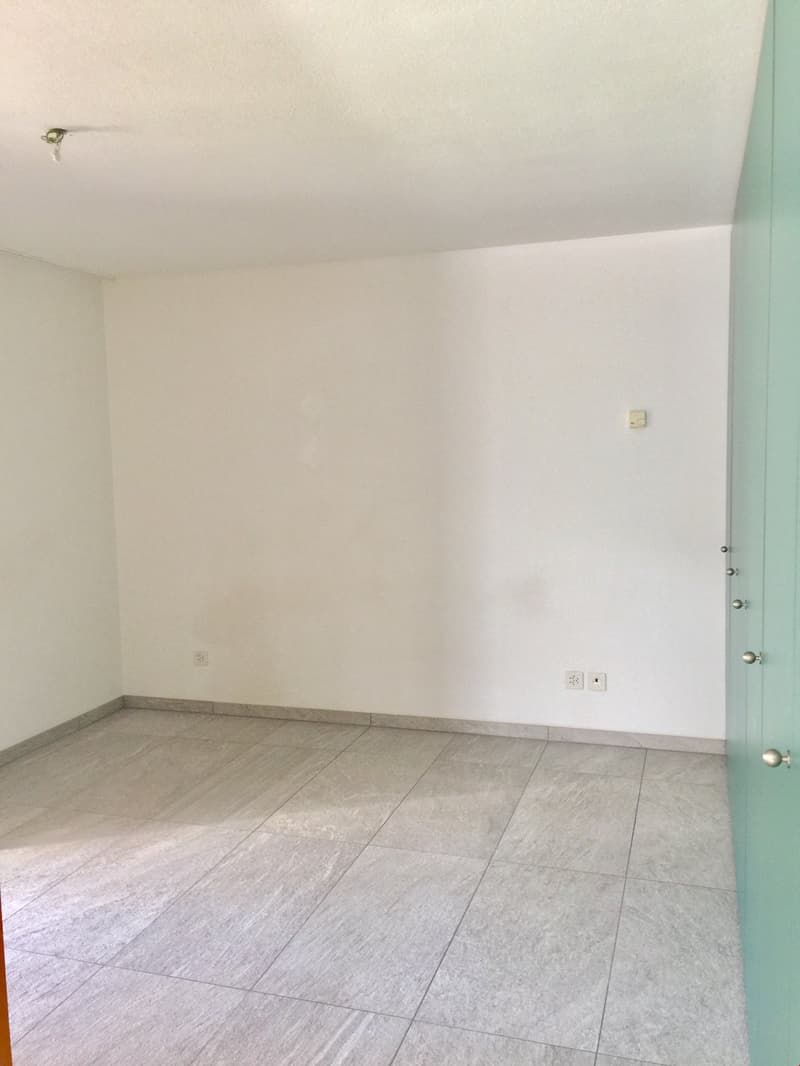 Bello appartamento di 2 camere con area di soggiorno (3)