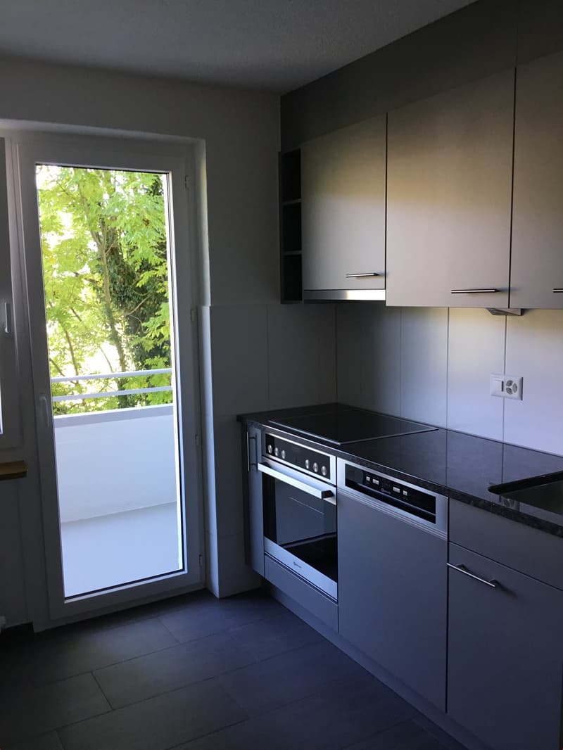 Bello appartamento di 3 camere con cucina moderna e ampio balcone (2)