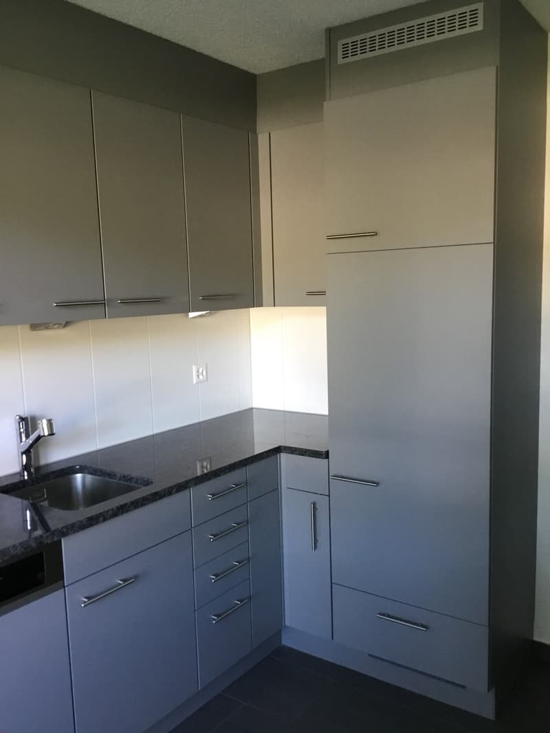 Bello appartamento di 3 camere con cucina moderna e ampio balcone (3)