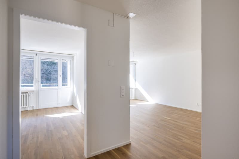 Totalsanierte 2.5-ZWG mit 73m2 und Ausbau im Eigentumsstandart sucht neuen Mieter (10)