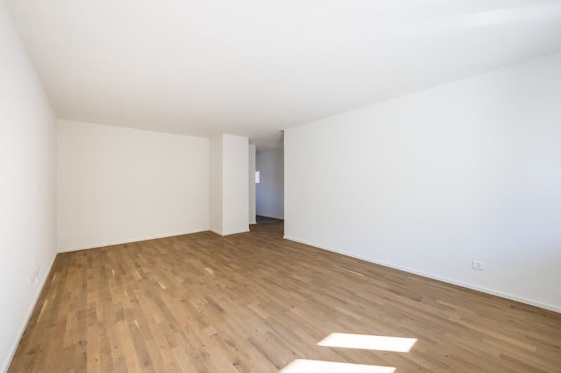 Totalsanierte 2.5-ZWG mit 73m2 und Ausbau im Eigentumsstandart sucht neuen Mieter (13)