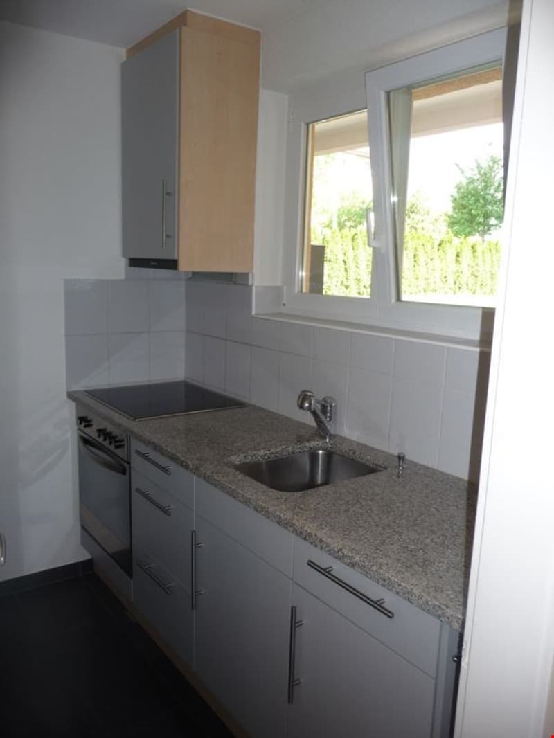 Zu vermieten nach Vereinbarung, 3-Zimmer-Wohnung mit gemütlichem Sitzplatz (3)