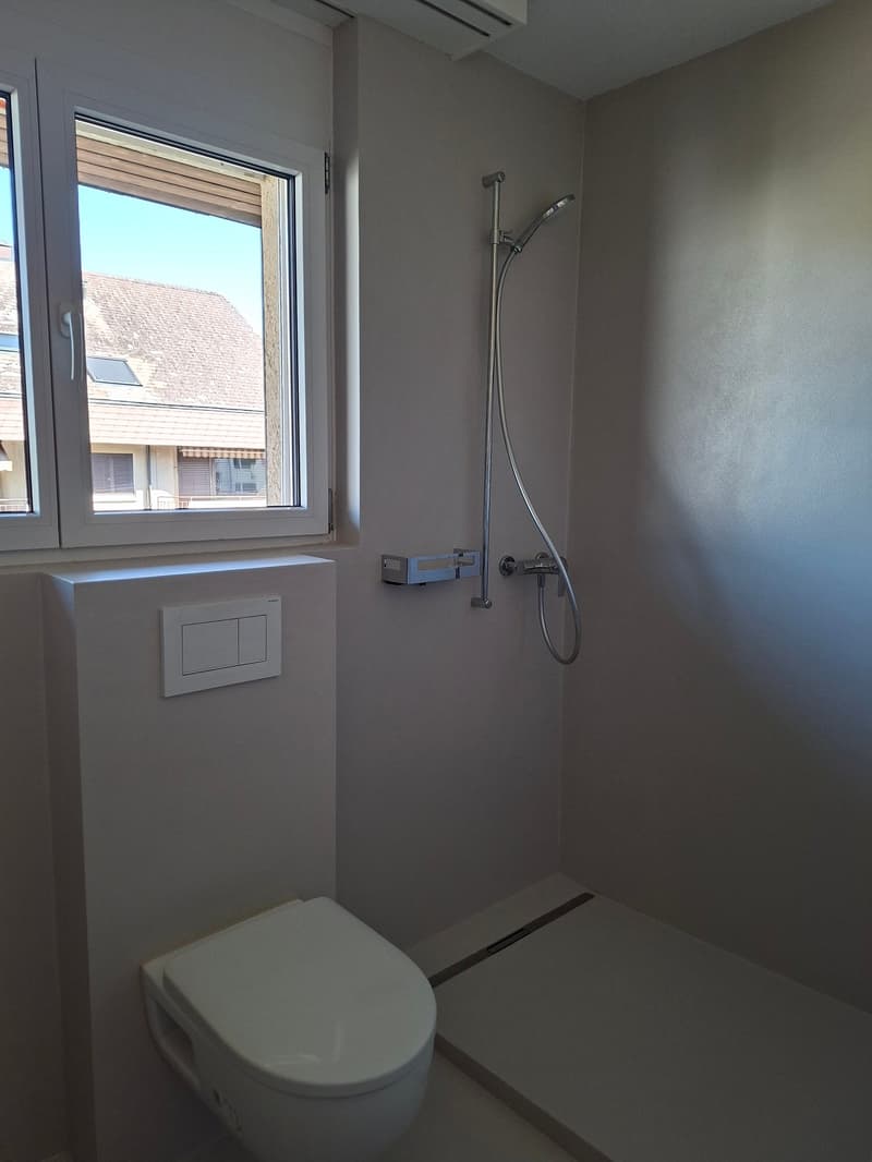 Moderne und frisch sanierte 3.5-Zimmerwohnung (9)