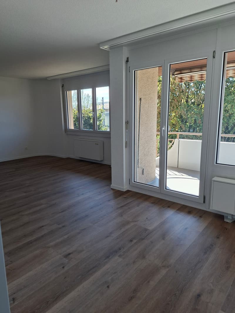 Moderne und frisch sanierte 3.5-Zimmerwohnung (7)