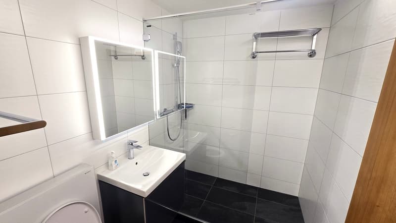 Chalet Dolomit - Zwei Wohneinheiten (STWE), ein Zuhause (6)