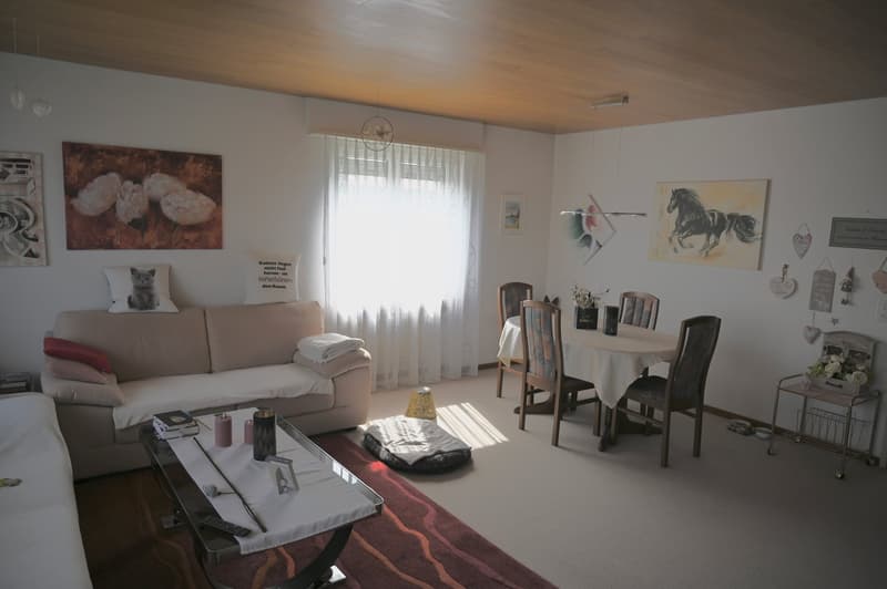 white walls, beige couch, red rug, coffee table, dining table, chairs, pictures on the wall, windows with white curtains