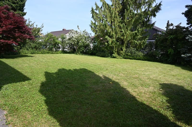 Well-maintained lawn, large grassy area, hedges and trees providing privacy, clear sky background.