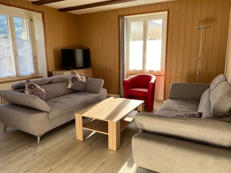Appartement lumineux meublé de 3 pièces  (possibilité d'enlever les meubles) (8)