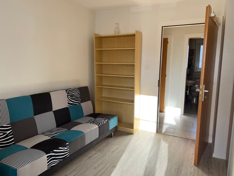 Appartement lumineux meublé de 3 pièces  (possibilité d'enlever les meubles) (6)
