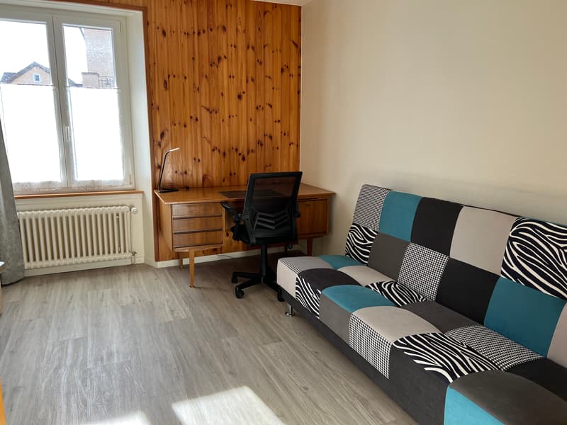 Appartement lumineux meublé de 3 pièces  (possibilité d'enlever les meubles) (5)