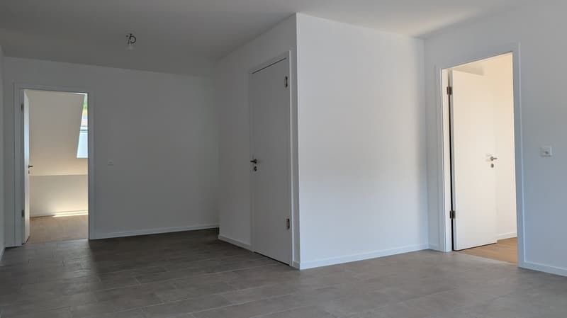 empty room, white walls, wooden floors, two doors, small light fixture on the ceiling