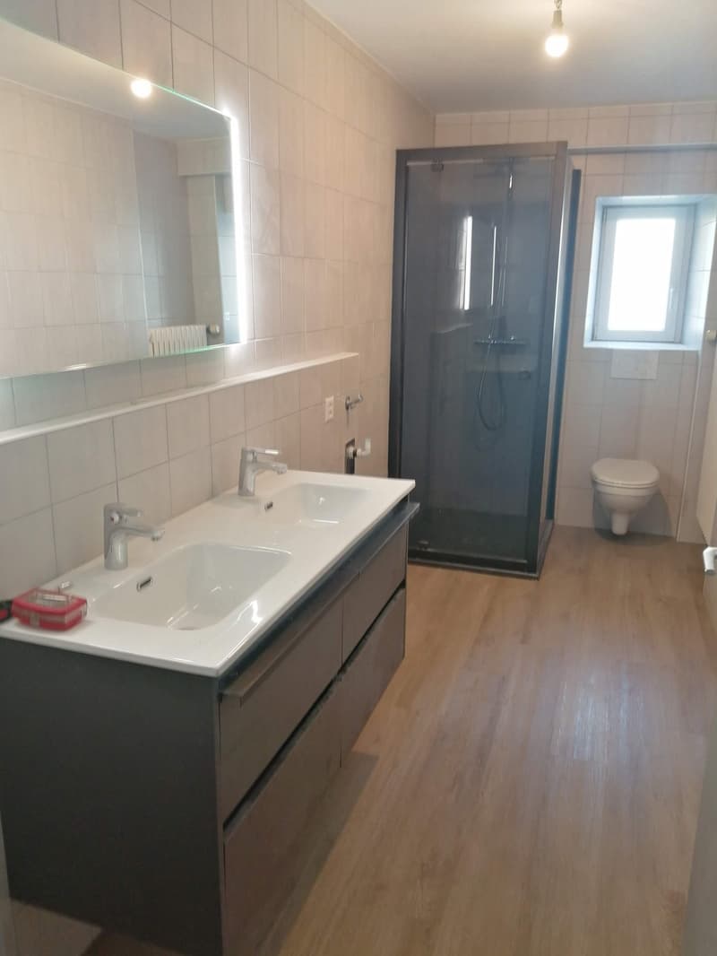 Bathroom with walk-in shower, double sink, window, and toilet