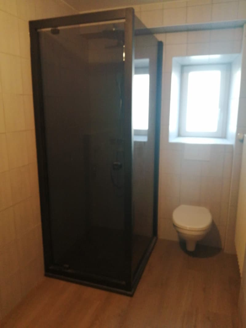 shower cubicle, white toilet, white tiled walls
