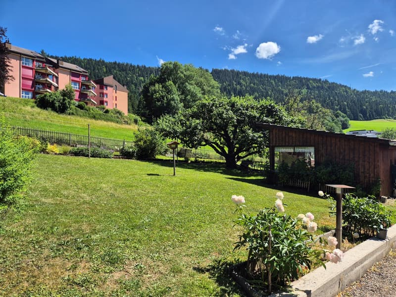 2.5 room apartment renovated, convertible into 3 rooms (7)