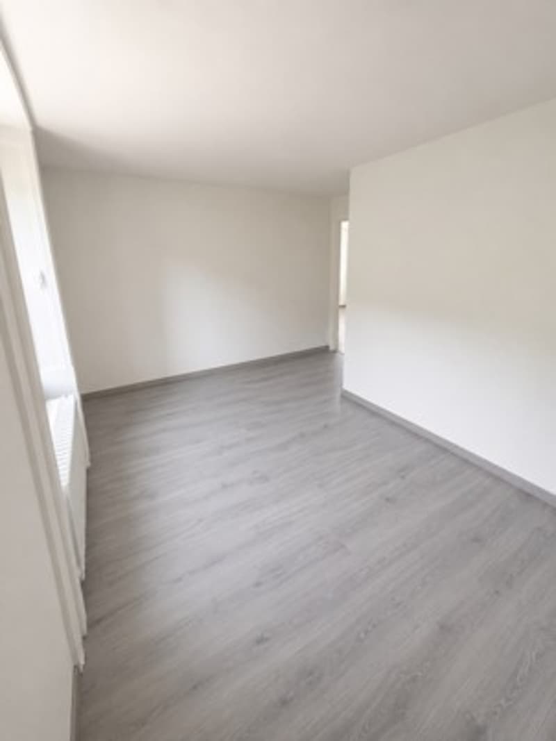 Appartement 2.5 pièces rénové transformable en 3 pièces (4)