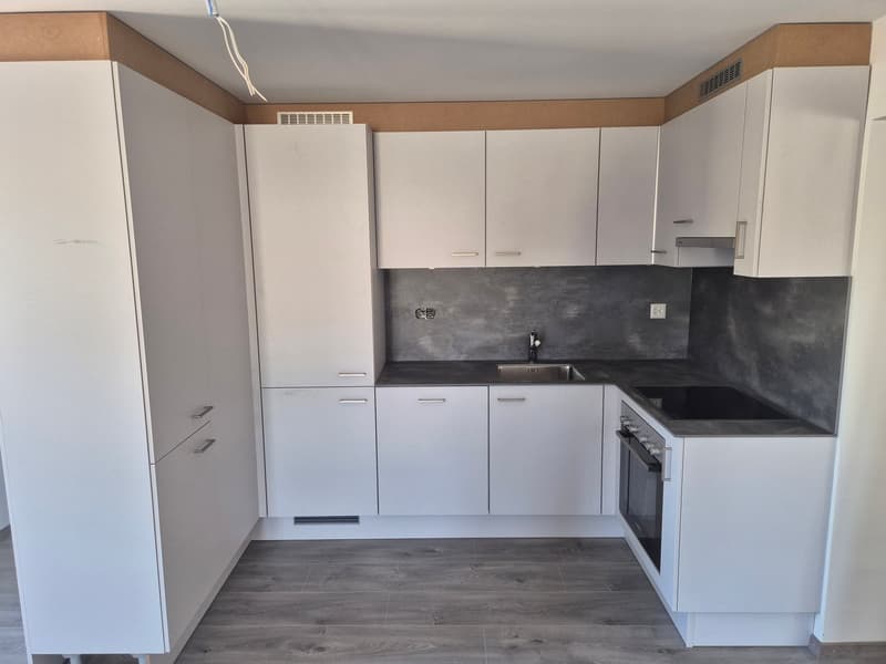 Appartement 2.5 pièces rénové transformable en 3 pièces (1)