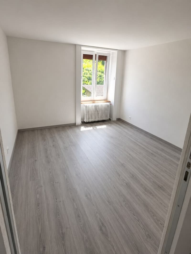 Appartamento 2.5 locali ristrutturato trasformabile in 3 locali (4)