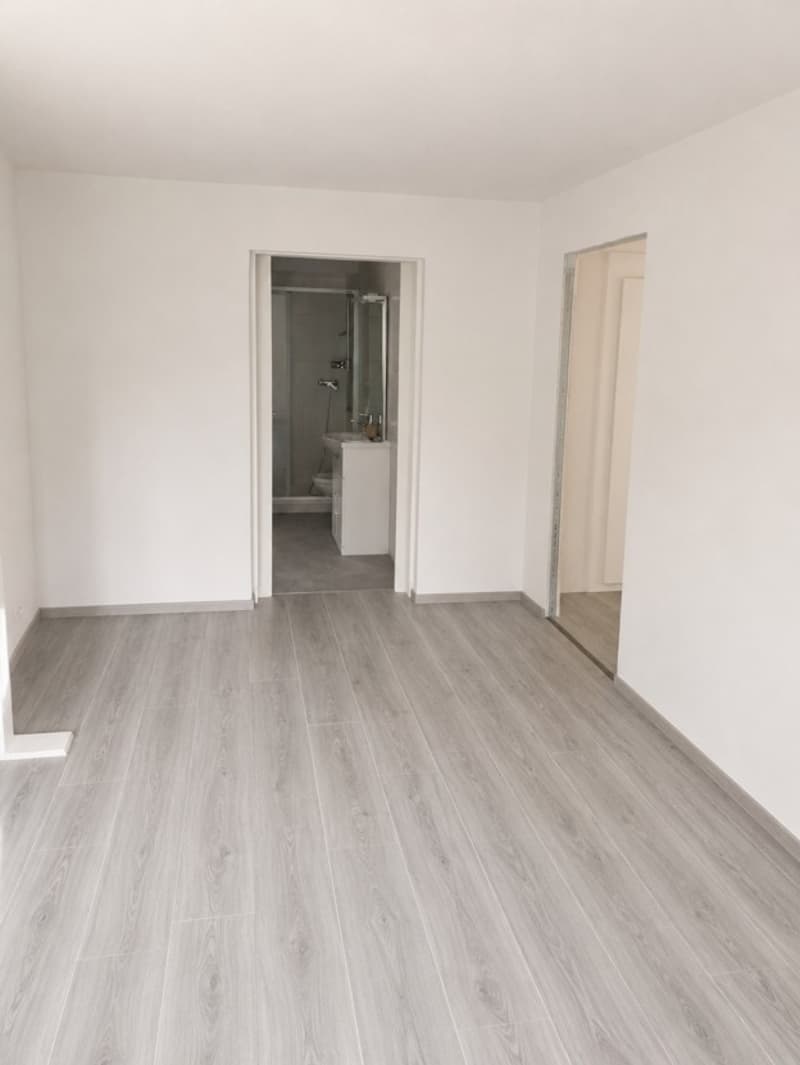 Appartamento 2.5 locali ristrutturato trasformabile in 3 locali (5)