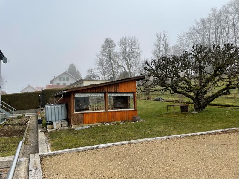 Appartamento 2.5 locali ristrutturato trasformabile in 3 locali (7)
