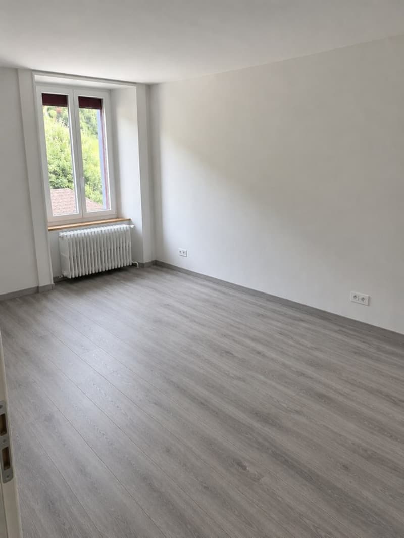 Appartamento 2.5 locali ristrutturato trasformabile in 3 locali (3)