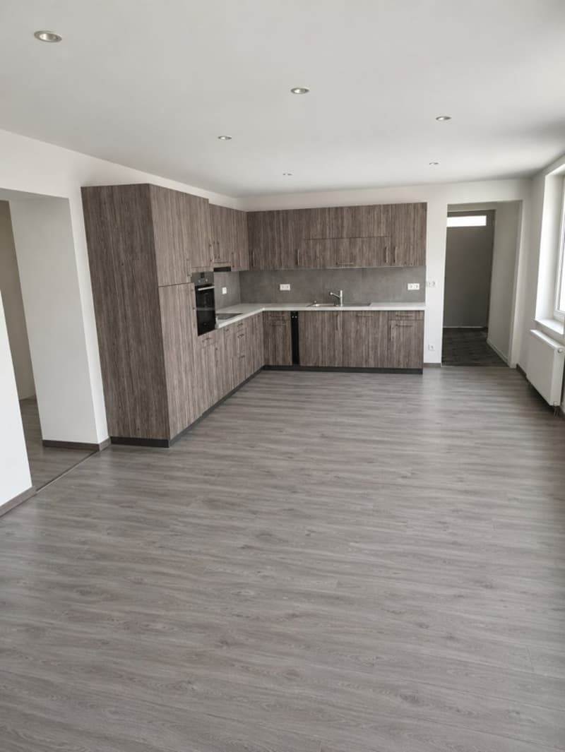 Appartamento 2.5 locali ristrutturato trasformabile in 3 locali (1)