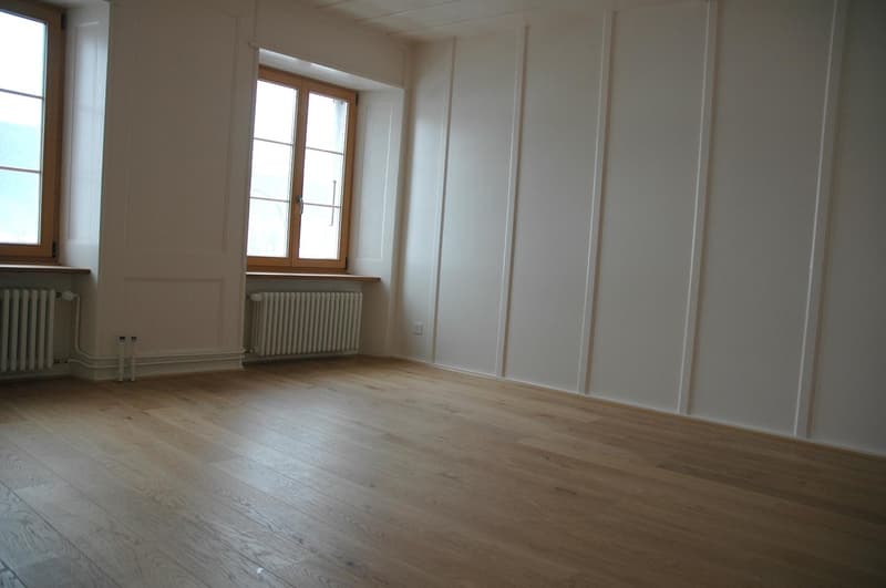 Appartamento di 3 locali in affitto a Bayards (3)
