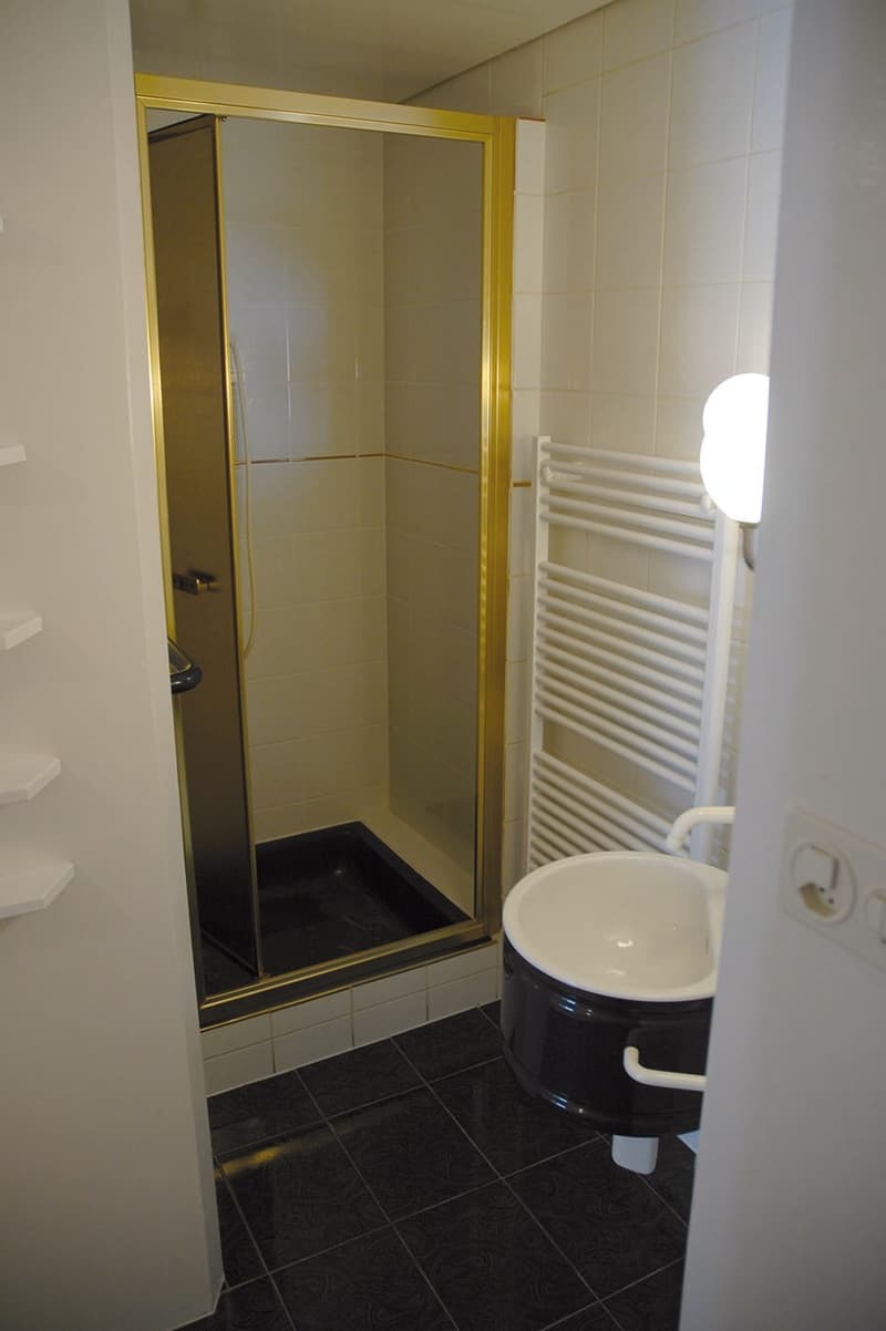 Appartamento di 3 locali in affitto a Bayards (5)