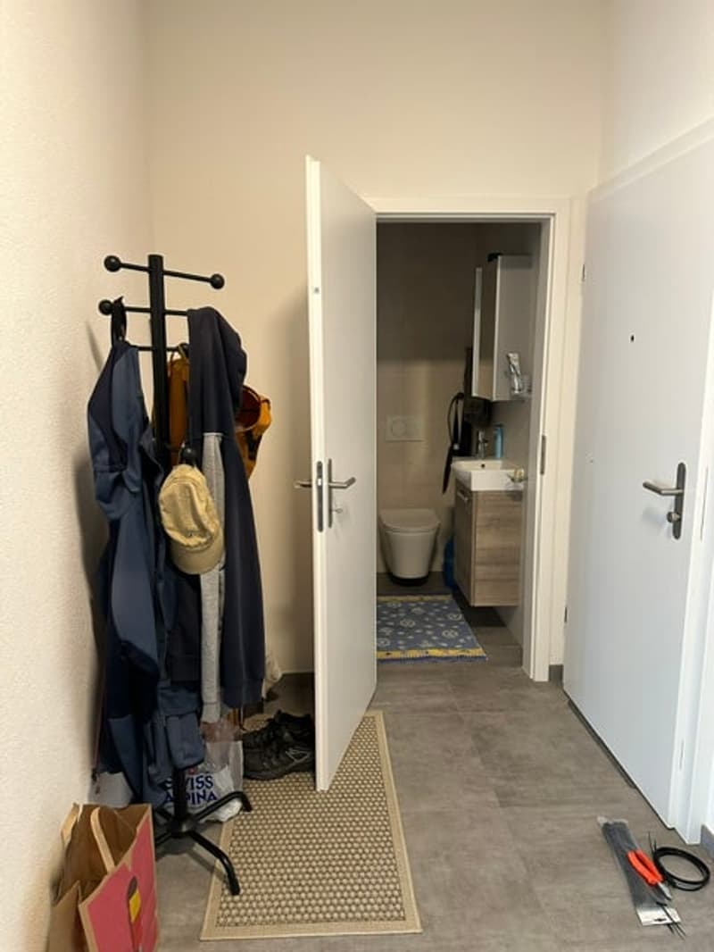 Appartamento di due e mezzo locali in affitto a Val-de-Travers (9)