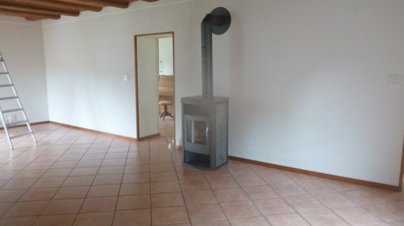 Charmant appartement de 5.5 pièces en triplex (4)