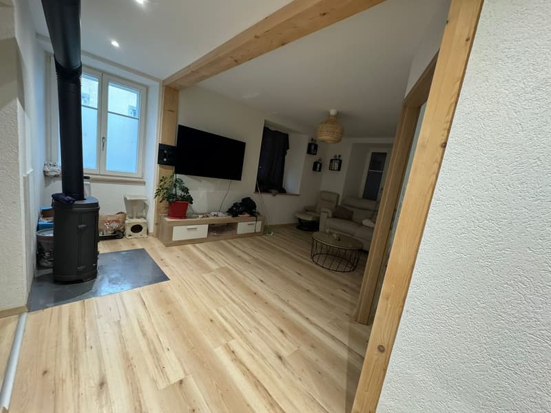 Appartement 2 pièces lumineux au rez-de-chaussée (2)